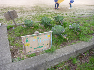 P1030014