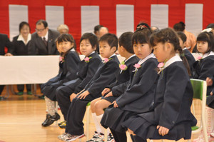 Dsc_7733 Dsc_7733
