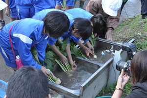 Dsc_3210 Dsc_3210
