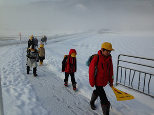 Img_0782 Img_0782