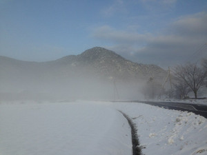 Img_0783 Img_0783