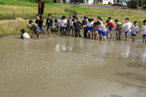 Imgp8755