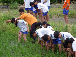 Imgp0356 Imgp0356