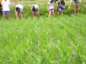 Imgp0359 Imgp0359